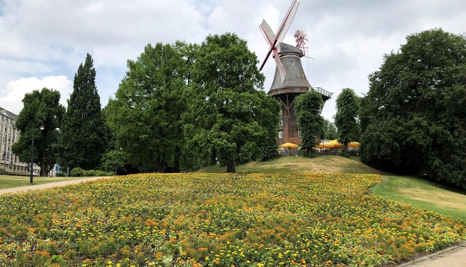 Blog images - 2025 VOL 2 - Bremer Geschichtenhaus