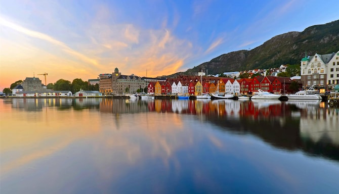 Blog images - 2025 VOL 2 - What to explore at Bryggen Wharf