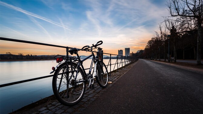 Blog images - 2025 VOL 2 - Bonn s Hidden Gems for the Curious Traveler