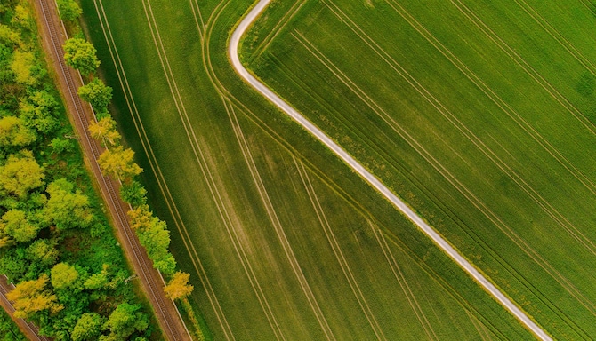 Blog images - 2025 VOL 2 - Dortmund Zoo s Overview