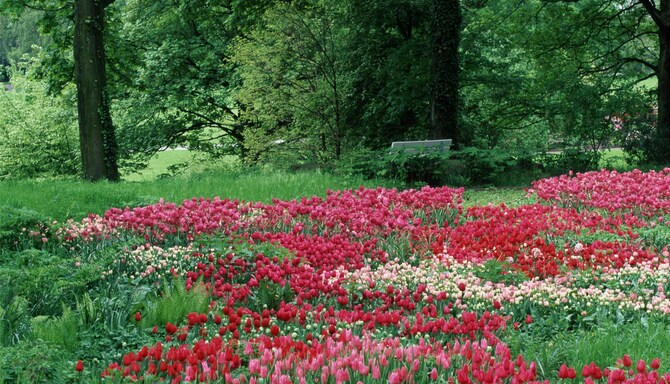 Blog images - 2025 VOL 2 - Dortmund Parks