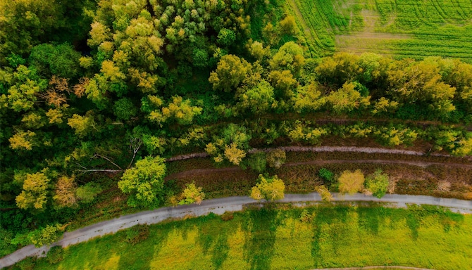 Blog images - 2025 VOL 2 - Dortmund Zoo s Overview