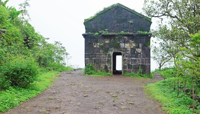 Blog images - 2025 VOL 2 - GettyImages