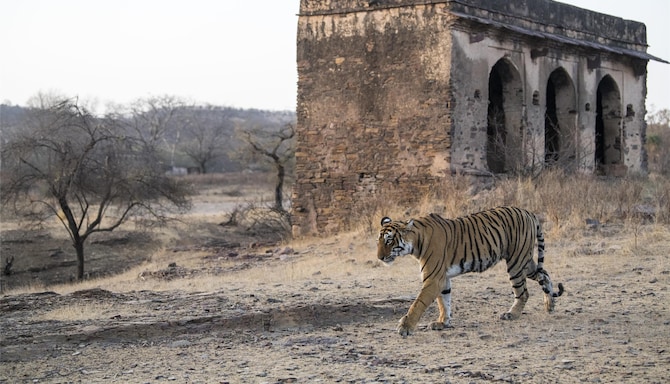 Blog images - 2025 VOL 2 - GettyImages