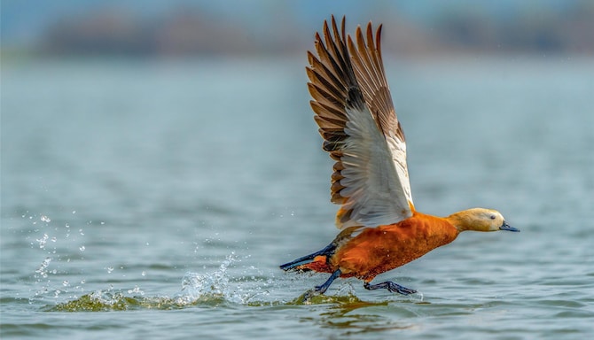 Blog images - 2025 VOL 2 - GettyImages