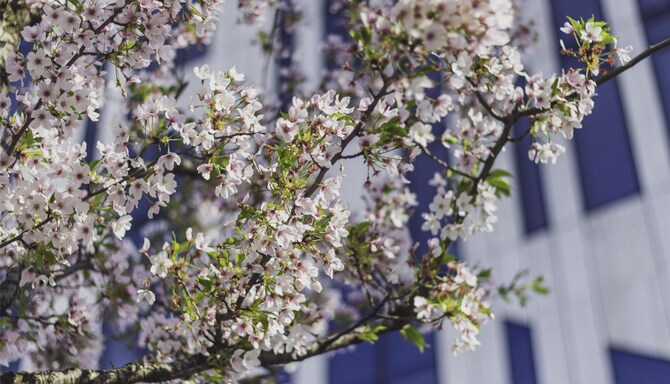 Blog images - 2025 VOL 2 - GettyImages