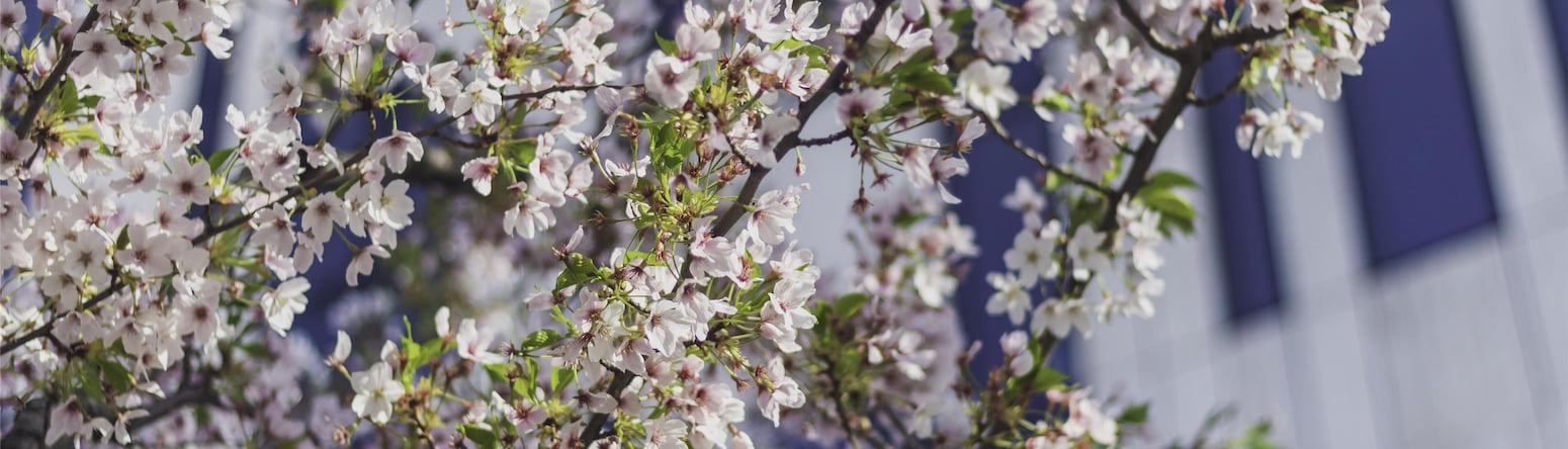 Blog images - 2025 VOL 2 - GettyImages