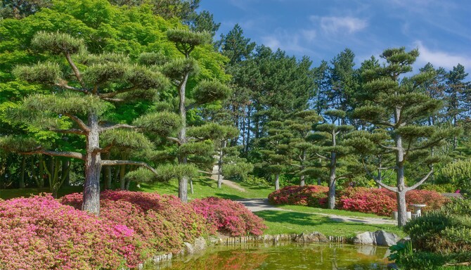 Blog images - 2025 VOL 2 - GettyImages