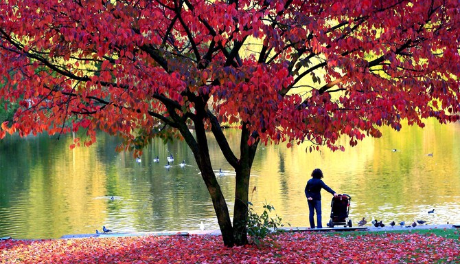 Blog images - 2025 VOL 2 - GettyImages