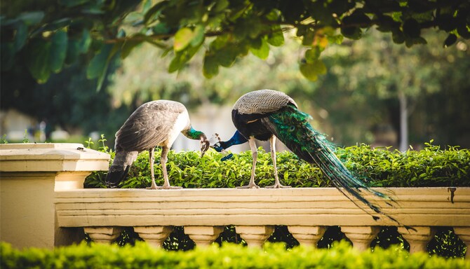 Blog images - 2025 VOL 2 - GettyImages