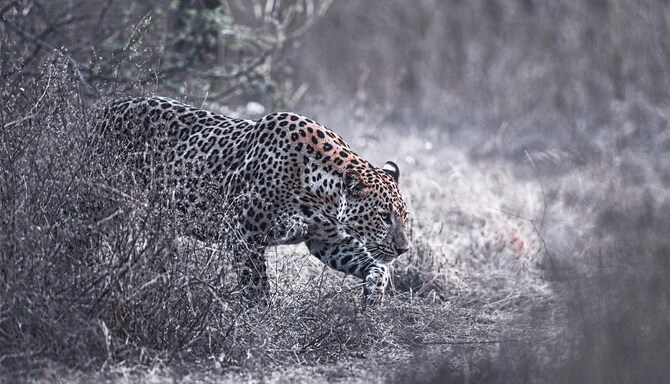 Blog images - 2025 VOL 2 - GettyImages