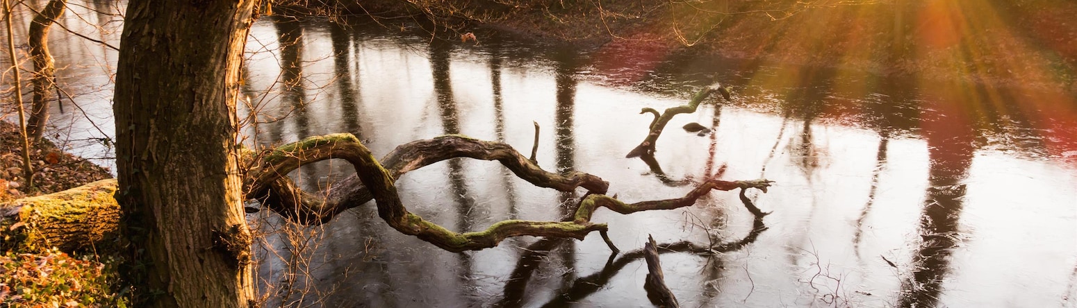 Blog images - 2025 VOL 2 - Discover the Charm of Br hl