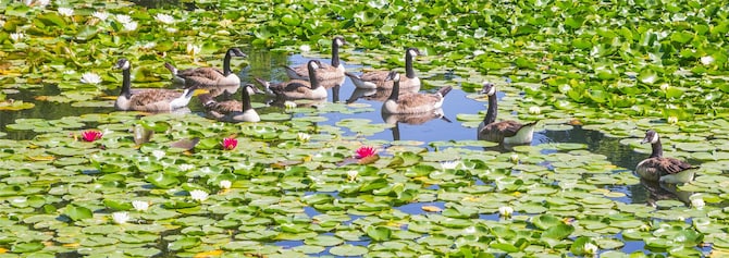 Blog images - 2025 VOL 2 - Things to Do at Westfalenpark