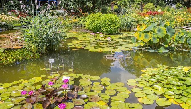 Blog images - 2025 VOL 2 - Exploring Westfalenpark Dortmund s Hidden Gems