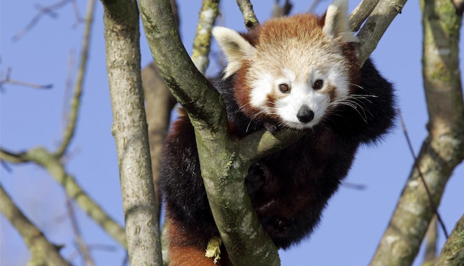 Blog images - 2025 VOL 2 - GettyImages