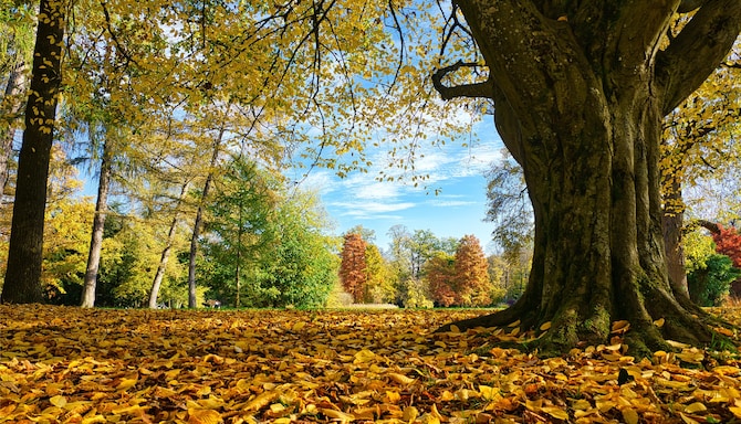 Blog images - 2025 VOL 2 - GettyImages