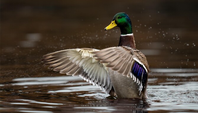 Blog images - 2025 VOL 2 - GettyImages