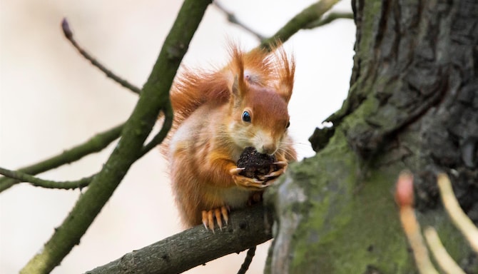 Blog images - 2025 VOL 2 - GettyImages