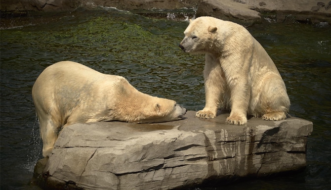 Blog images - 2025 VOL 2 - GettyImages