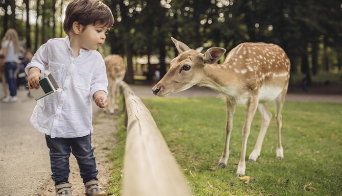 Blog images - 2025 VOL 2 - GettyImages