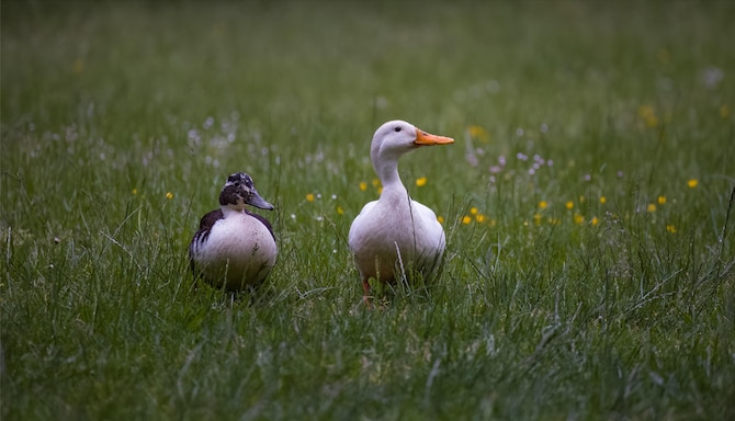 Blog images - 2025 VOL 2 - Things to Do at Westfalenpark