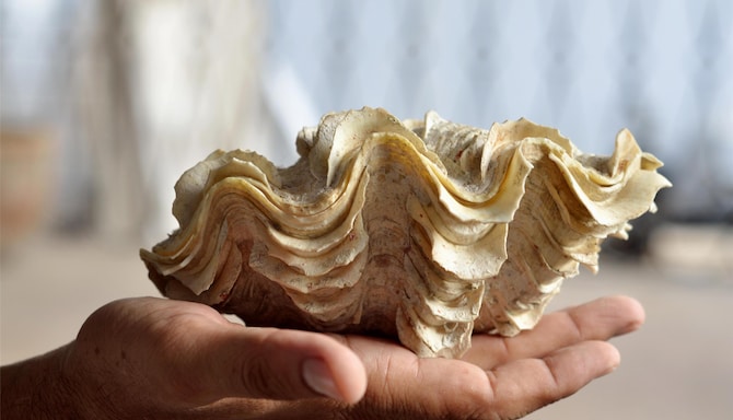 Blog images - 2025 VOL 2 - GettyImages