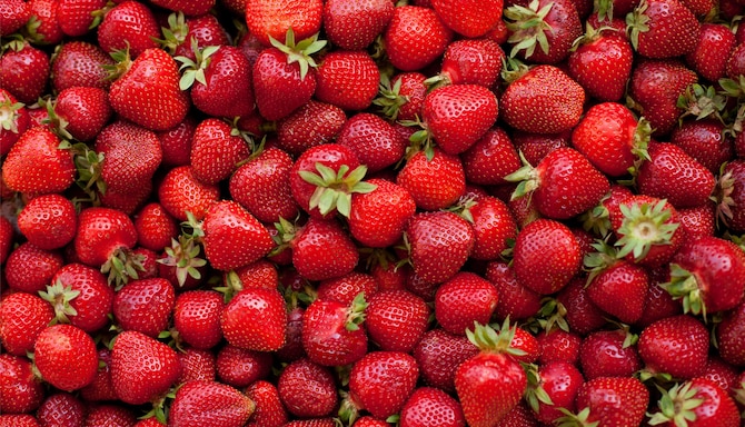 Blog images - 2025 VOL 2 - GettyImages