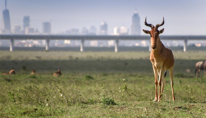 Blog images - 2025 VOL 2 - GettyImages