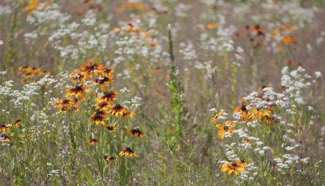 Blog images - 2025 VOL 2 - GettyImages