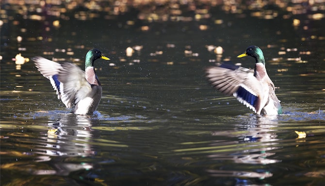 Blog images - 2025 VOL 2 - GettyImages