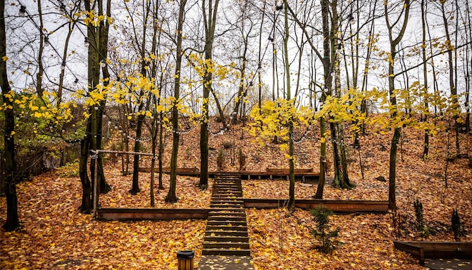 Blog images - 2025 VOL 2 - GettyImages