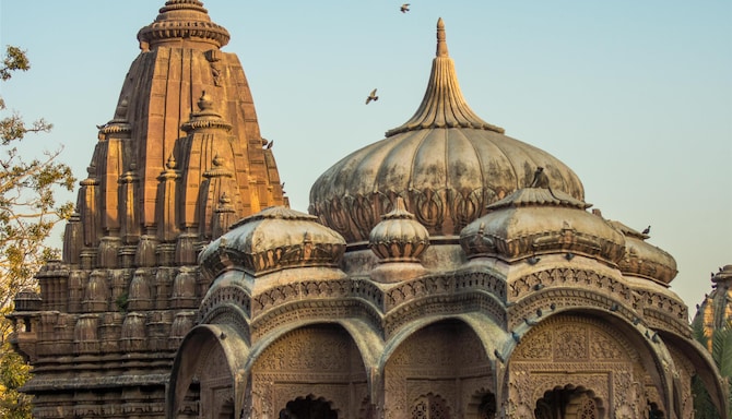 Blog images - 2025 VOL 2 - GettyImages