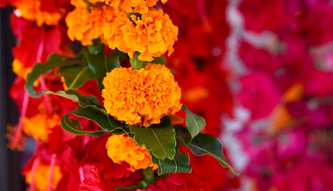 Blog images - 2025 VOL 2 - GettyImages