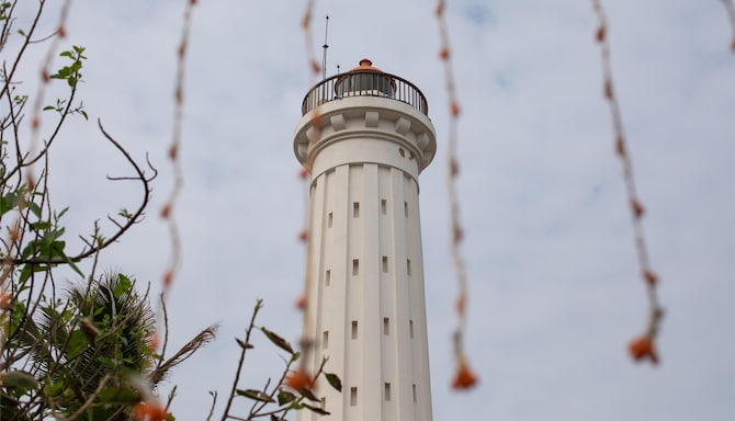 Blog images - 2025 VOL 2 - GettyImages