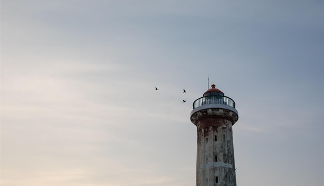 Blog images - 2025 VOL 2 - GettyImages