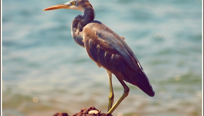 Blog images - 2025 VOL 2 - GettyImages