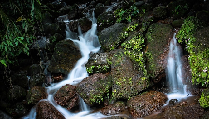 Blog images - 2025 VOL 2 - Natural attractions in Panaji