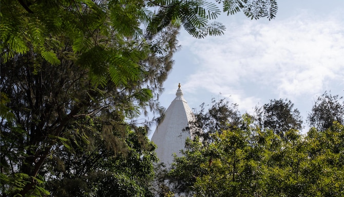 Blog images - 2025 VOL 2 - GettyImages