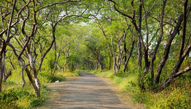 Blog images - 2025 VOL 2 - GettyImages