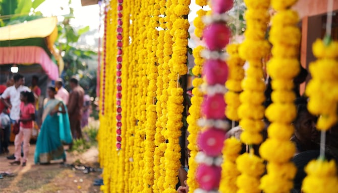 Blog images - 2025 VOL 2 - GettyImages