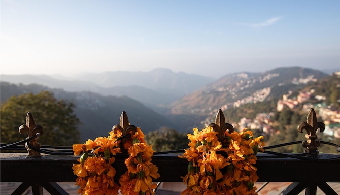 Blog images - 2025 VOL 2 - GettyImages