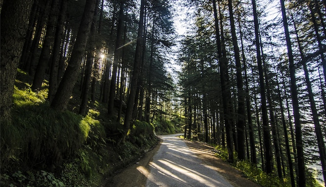 Blog images - 2025 VOL 2 - GettyImages