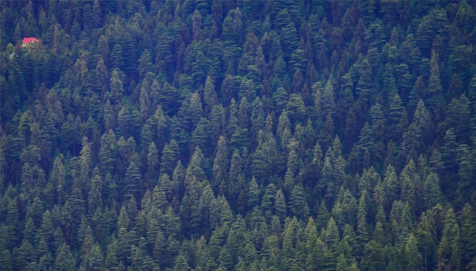 Blog images - 2025 VOL 2 - GettyImages