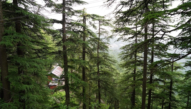 Blog images - 2025 VOL 2 - GettyImages