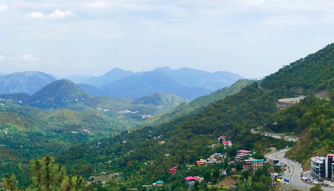 Blog images - 2025 VOL 2 - GettyImages