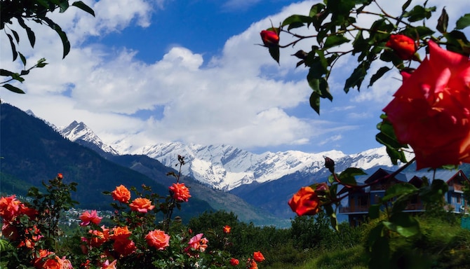 Blog images - 2025 VOL 2 - GettyImages