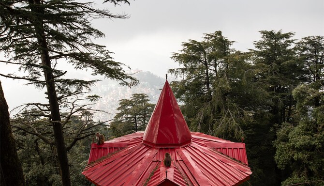 Blog images - 2025 VOL 2 - Temples near Shimla