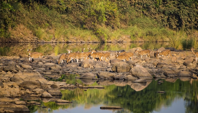 Blog images - 2025 VOL 2 - GettyImages