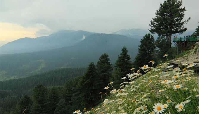 Blog images - 2025 VOL 2 - GettyImages