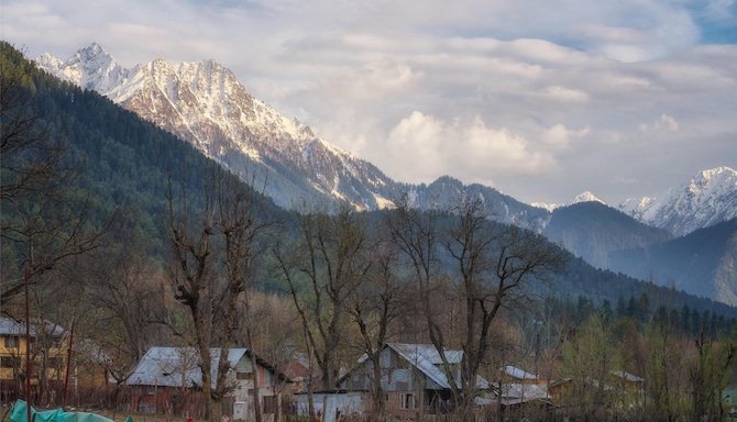 Blog images - 2025 VOL 2 - GettyImages